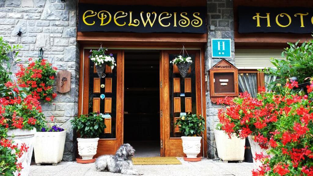 Edelweiss Hotel Torla Eksteriør bilde